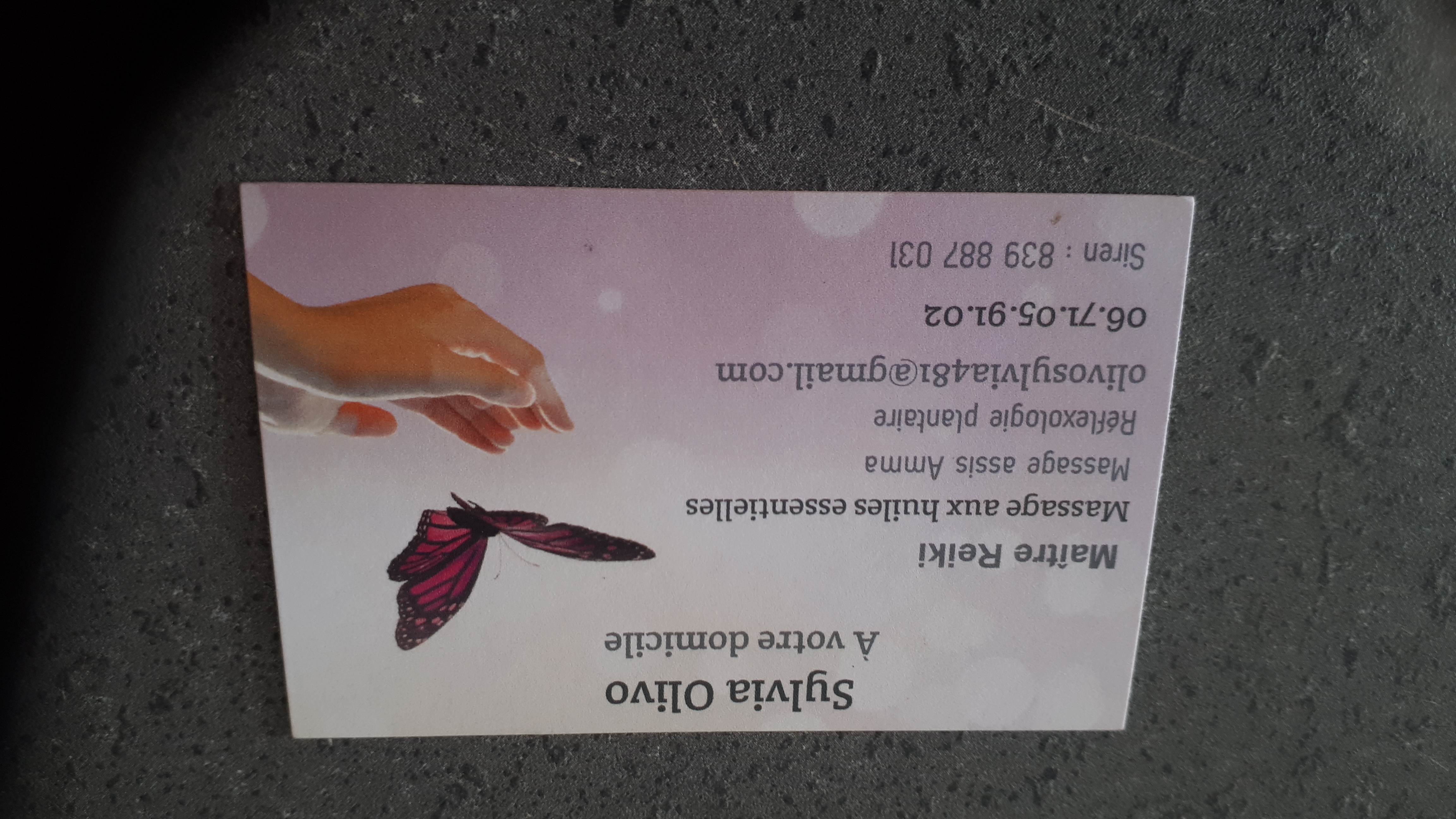 carte de visite de Sylvia Olivo