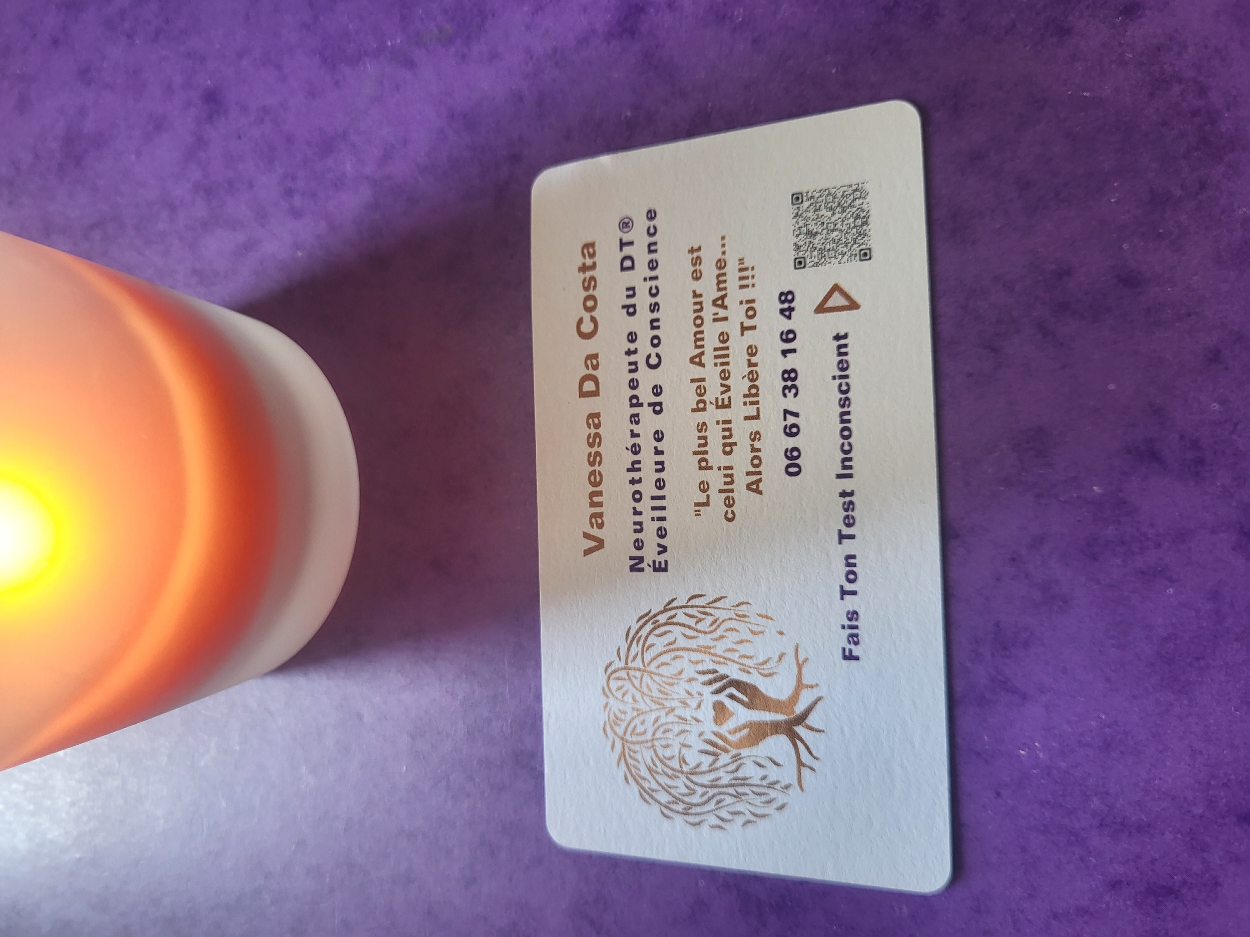 carte de visite de Vanessa Da costa